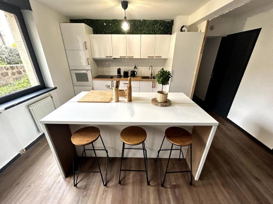 Le Puy En Velay - Appartement Grand Confort المظهر الخارجي الصورة
