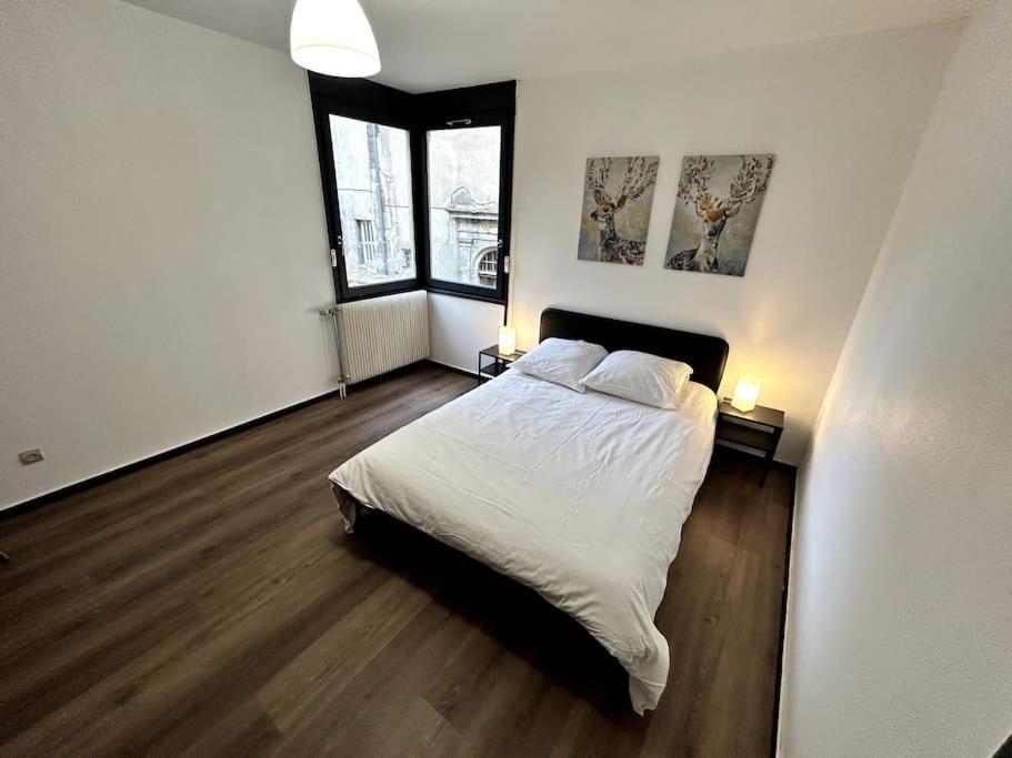 Le Puy En Velay - Appartement Grand Confort المظهر الخارجي الصورة