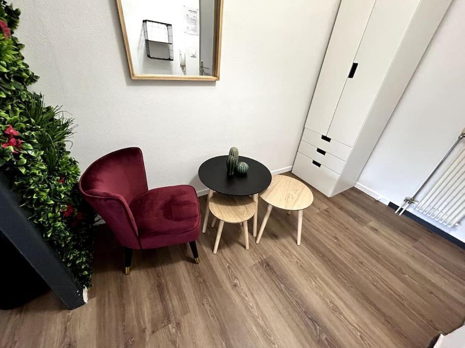 Le Puy En Velay - Appartement Grand Confort المظهر الخارجي الصورة